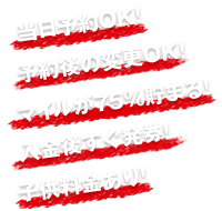 当日予約OK！予約後の変更OK！マイルが75%貯まる!入金後すぐ発券！子供料金あり！